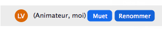 Se renommer au début d'une réunion